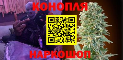 меф Гатчина