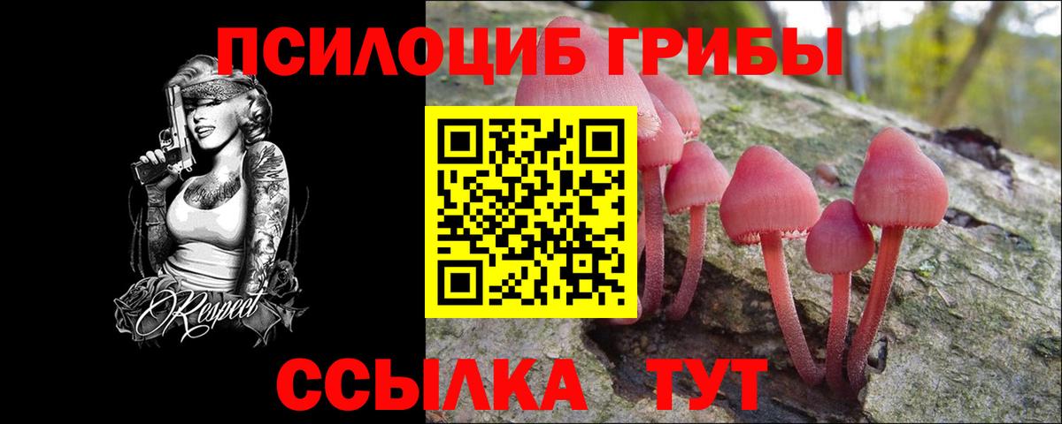 Галлюциногенные грибы Cubensis Можга